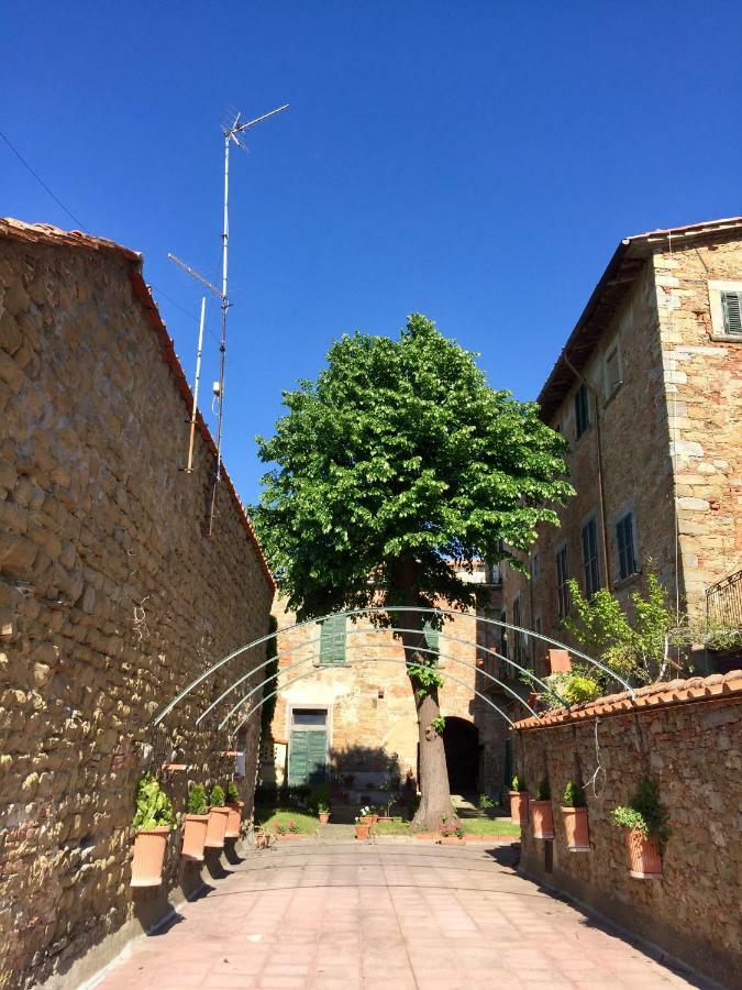 Camera E Appartamento Toscana - B&B Palazzo Robicci Кастильон-Фьорентино Экстерьер фото